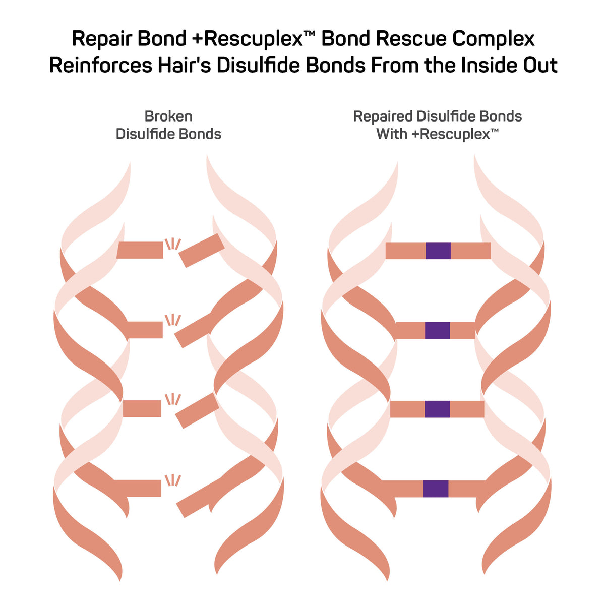 Repair Bond +Rescuplex™ <br> Leave-In Treatment